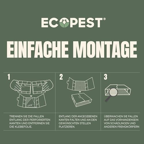 Silberfischchen-Falle 12er-Pack | Effektive Klebefalle für den Innenbereich | Natürlicher Lockstoff für Silberfische und