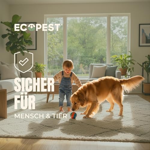 Silberfischchen-Falle 12er-Pack | Effektive Klebefalle für den Innenbereich | Natürlicher Lockstoff für Silberfische und